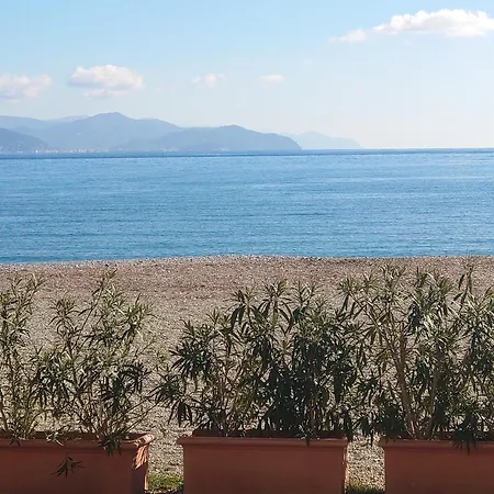 Endless Summer Santa Margherita Ligure