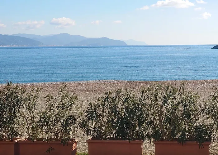 Endless Summer 산타마르게리타리구레